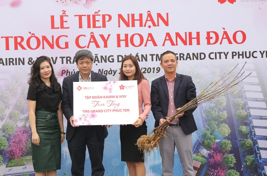 Phuc Yenで最初の桜道を植え始める